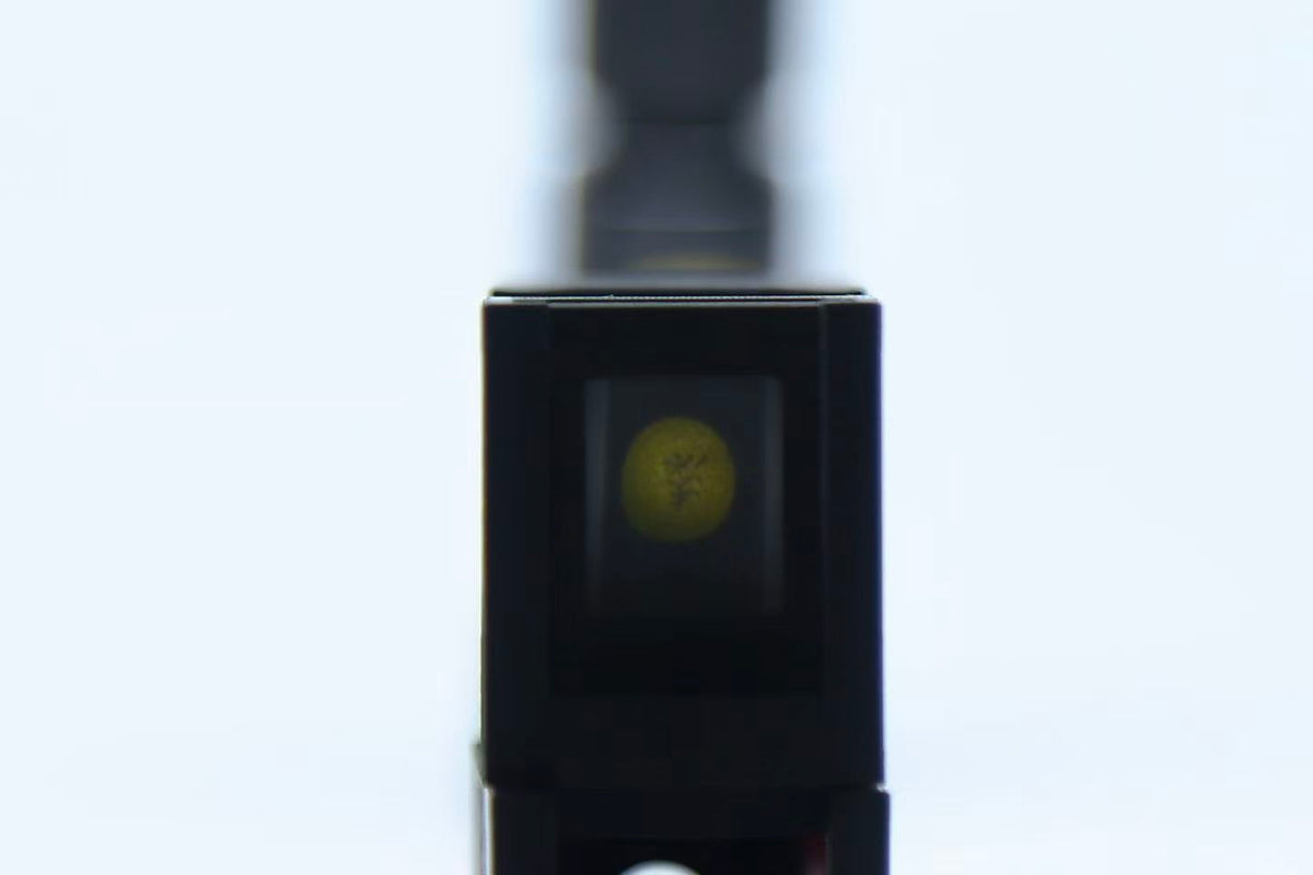 Mini Wet-Plate Camera Kit (Upgraded Version 2!)